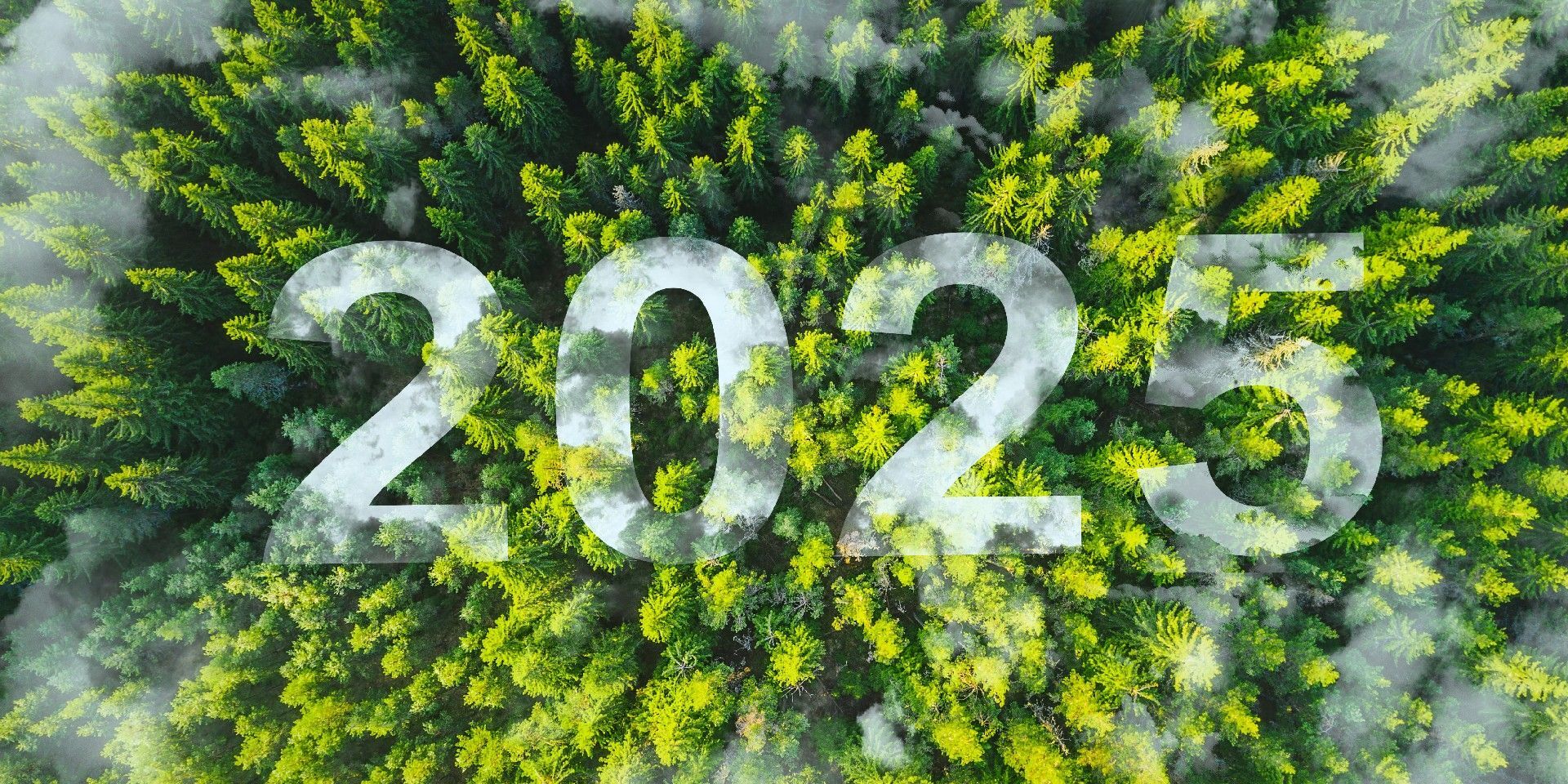 HANTON law firm partners with TOGETAIR 2025 International Climate Summit